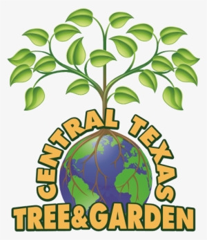 Central Texas Tree And Garden - Globe With Tree
