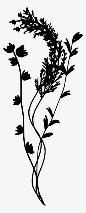 Download Png - Painting