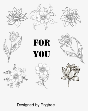 Floating A Variety Of Herbs Spices, Float, Herb, Spices - Want You For Us Army