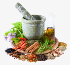 Discoverour Story - Herbal Medicine