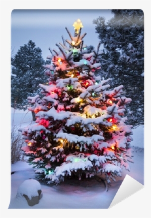 Brightly Lit Snow Covered Christmas Tree Wall Mural - Christmas Trees In The Snow