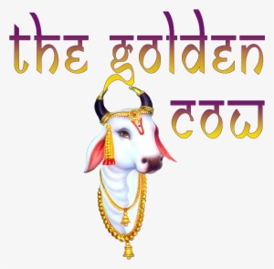 Onlineshop - Golden Calf