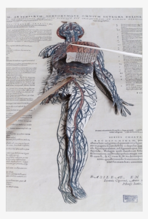 Cambridge Ul On Twitter - Sketch