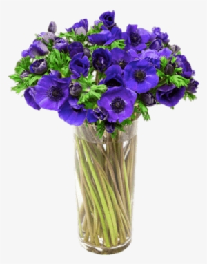 Vase Of Purple Anemones - Anemone