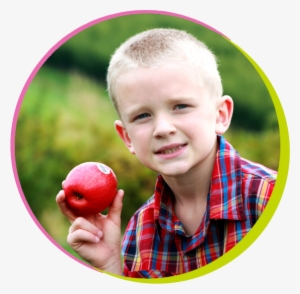 Circle-boy - Portable Network Graphics