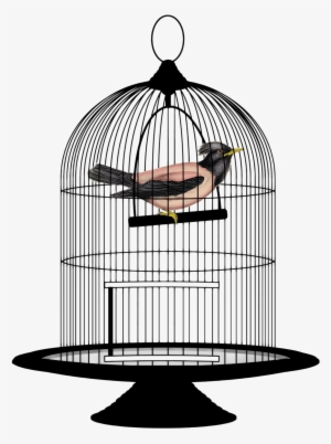 Caged Bird Png Free Download - Bird In Cage Png
