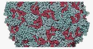 Post Navigation - Poliovirus Structure