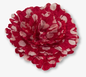 Round The Track - Dahlia