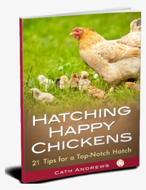 My Kindle Book - Raising Chickens: Backyard Chickens For Beginners: