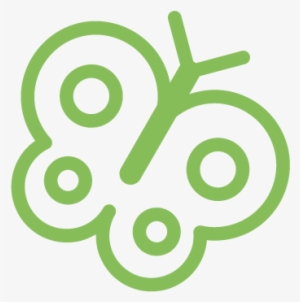 Decoration Light - Technology