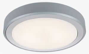 Grey, Décor Chrome - Astier De Villatte