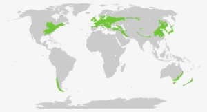 Jpg Library Stock The Different Types Of - Northern Elephant Seal Range