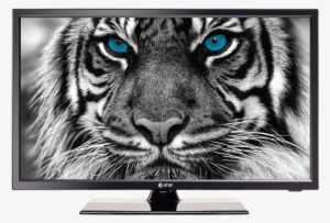 Ledtv 22d1t1 Ledtv Front - Estar Ledtv24d2t2