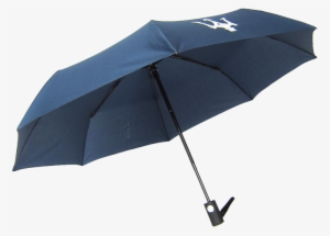 21 Inch Foldable Umbrella - Umbrella