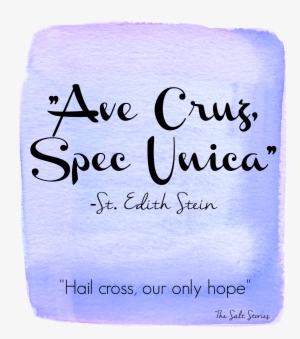 The Salt Stories - Christmas Cute Quotes And Sayings