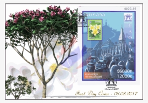 50th Anniversary Of Asean - 2014 Porsche 911 50th Anniversary Edition