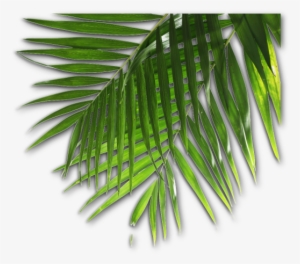 Info And Contact - Information