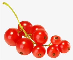 Red Currants Png - Red Currant Png