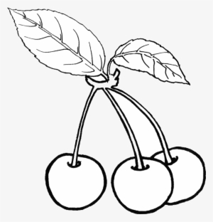 Cherry Fruit Fruit Clipart Cherry Fruit Png Image And - Gambar Hitam Putih Buah Cherry
