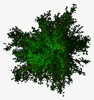 06 Feb 2009 - Saintsbridge Map Way Of The Wicked