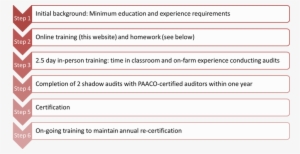At The End Of The In Person Training , Trainees Must - Mentor Program Outline