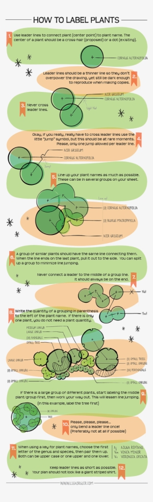 Tree For Background Png By Gd08 On Deviantart - Landscape And Presentation