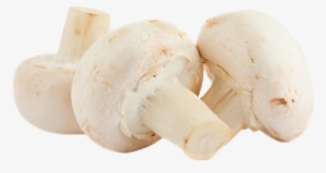 Mushrooms Button - Champignon Mushroom