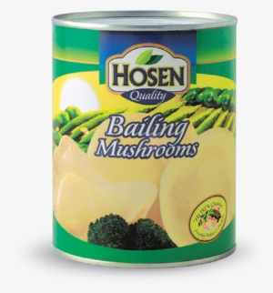 Mushrooms - Hosen Bailing Mushroom