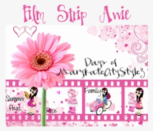 Click The Image To Open In Full Size - Pink Background