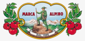 Alpino Tomato Paste Concentrated