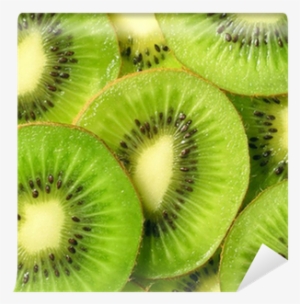 Designs Inspired By Nature