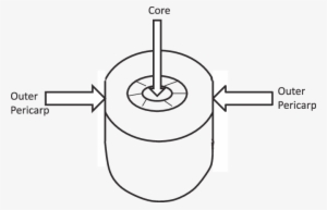 Schematic Diagram Of Firmness Measurement Of Outer - 90 Degree Arrow
