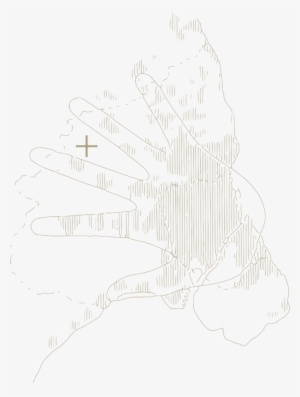 Location Of Site In Relation To The Copenhagen Finger - Sketch