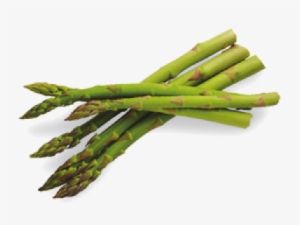 Leaves - Asparagus - Vegetables Asparagus