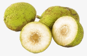 Fresh Breadfruit - Bread Fruit