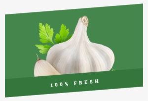 Promotion-banner4 - Kuşadası