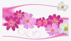Flower Wallpaper Love - Flower Background