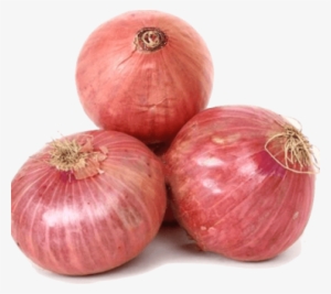 Onion - Onion Png