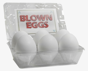 High Quality Blown Eggs By The Great Gorgonzola - White Eggs Pack Of 6