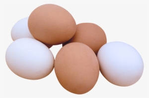 Brown White Eggs - Dennis Paper & Food Service Company