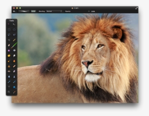 Open An Image That Has An Area Or Object You'd Like - Objects That Are Brown In Color