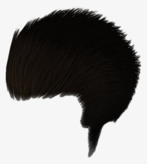 Hair Png - شعر رجالي كبير Png