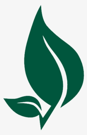 Anuja Ayurveda Dhule Leaf Logo - Ayurveda Leaf Clipart