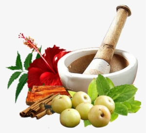 Panchakarma - Ayurvedic Treatment Of Brain Tumor