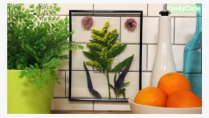 Leaf Frame Png