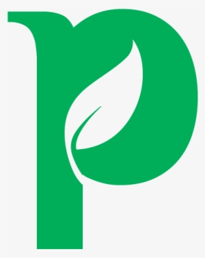 Pushya Ayurveda - Bengaluru