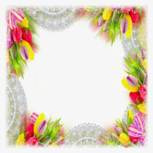 Flower Frame Tulips Cadre Fleur Deco - Tulip Frame Png