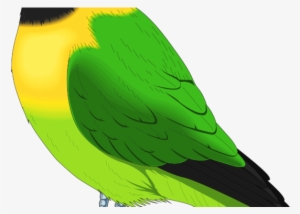 New Pictures 2018 Birds Clipart Full Colorful Images - Bird Clipart