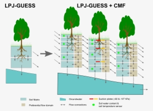 Current Land Surface Models Used To Investigate Global - Ecosystem