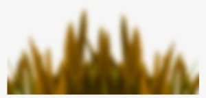 New Editing Png Download - Png File For Photoshop